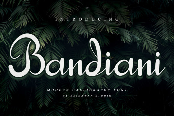 Bandiani: A Dainty Handwritten Font for Creative Brands