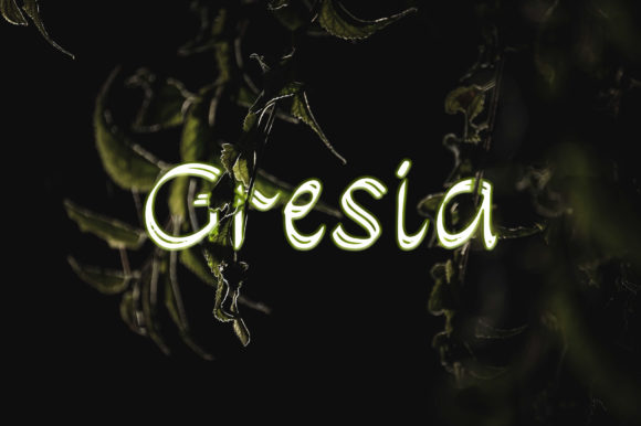 Gresia: A Handwritten Font for Elegant Branding