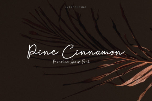 Pine Cinnamon Font for Web Design