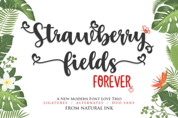 Strawberry Fields Forever Font Review
